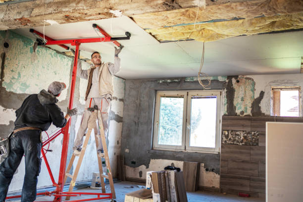 Best Eco-Friendly Insulation in Antwerp, OH