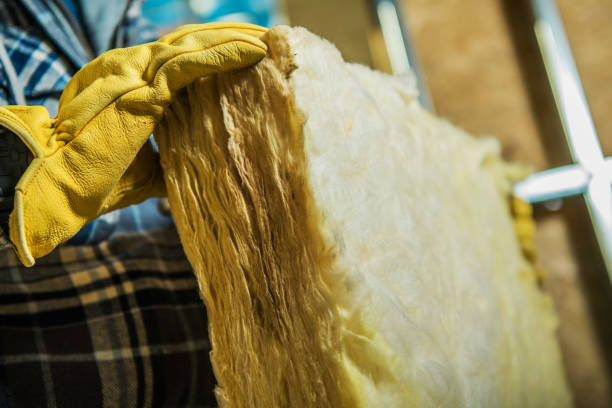 Best Cellulose Insulation in Antwerp, OH